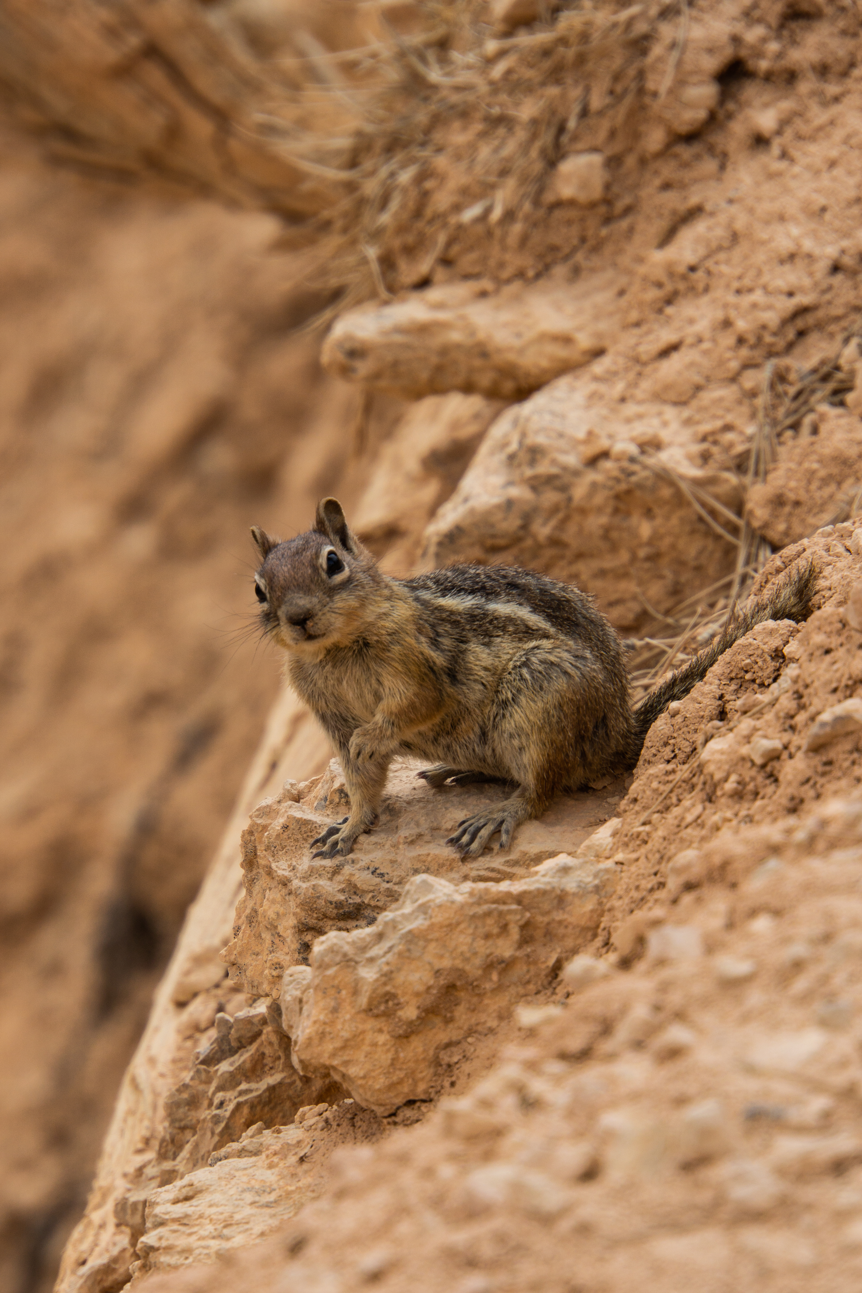 US National Parks 2022 4